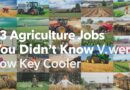 Agriculture,Jobs